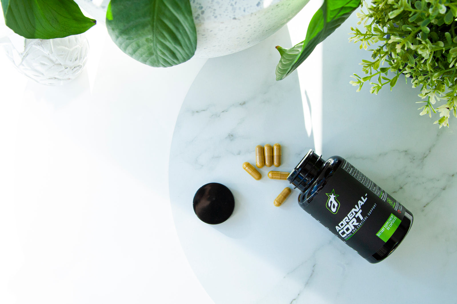 Why Adrenal Cort Is Your Secret to A Good Night’s Sleep